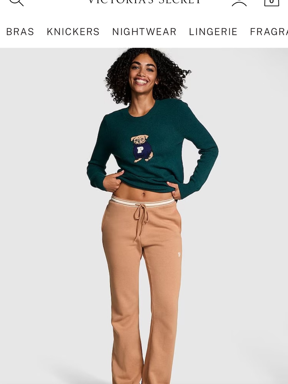 PINK Victoria's Secret Teal Knit Dog Sweater